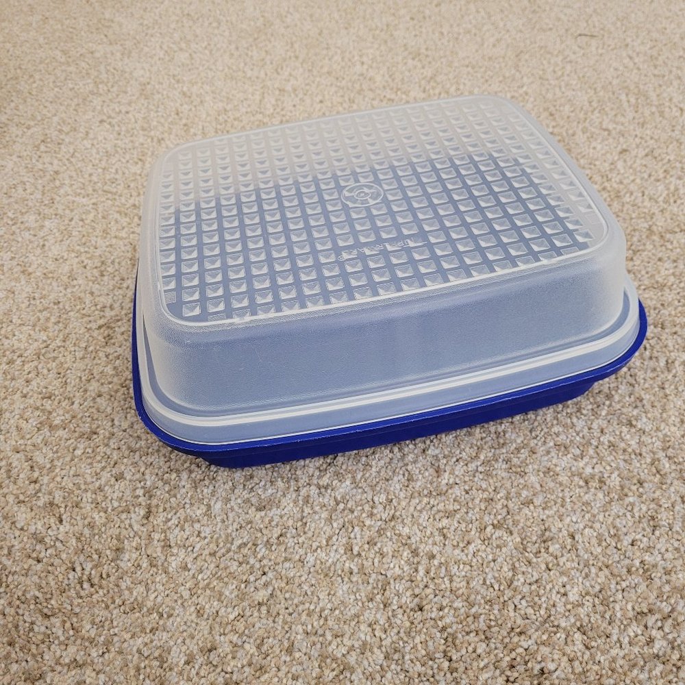 Tupperware Container for Marinating